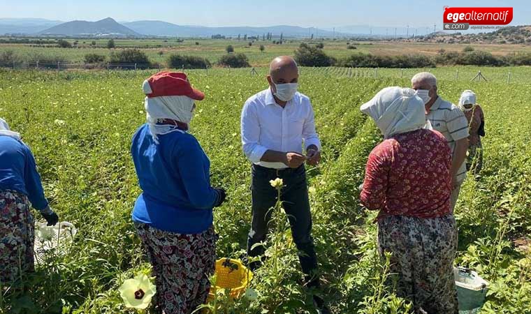 CHP’li Polat: Köylülerimiz alın terinin karşılığını alamıyor!