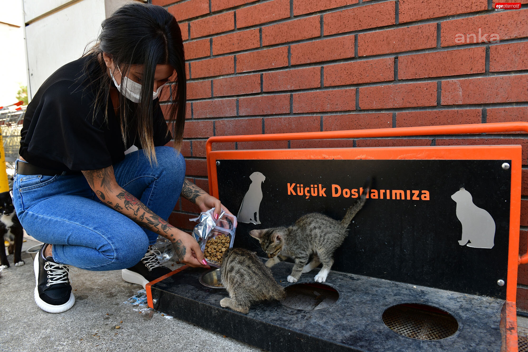  Çiğli Belediyesi Sokak Hayvanlarını Unutmadı