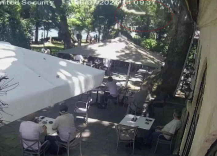 Çınardan kopan dal can aldı: O anlar kamerada
