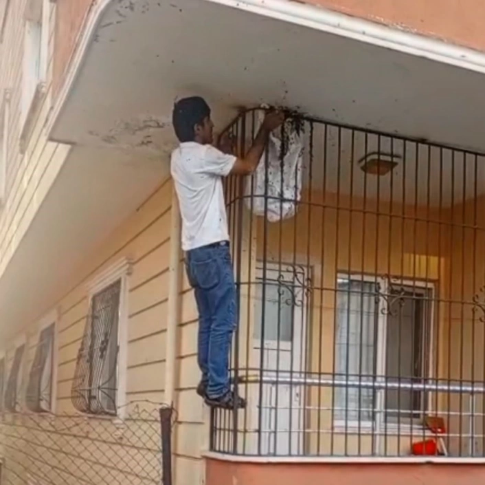 Çıplak elle yüzlerce arının arasına girdi
