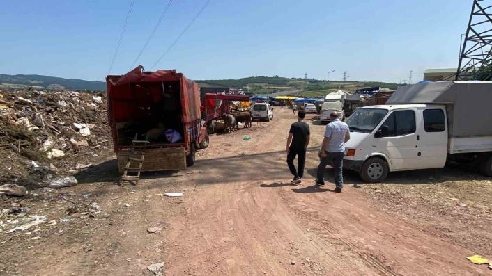 Çöplükte kurbanlık satışı
