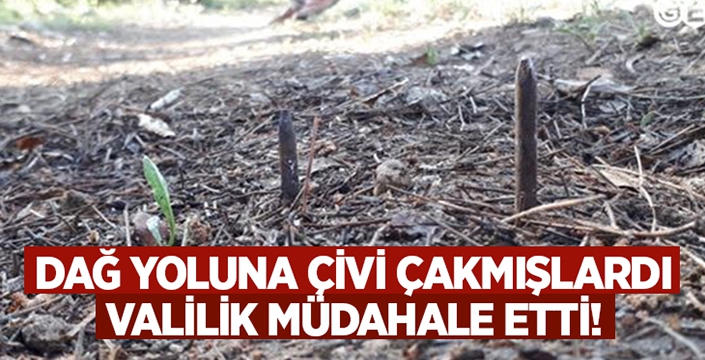 Dağ yoluna çakılan çivilere valilik müdahale etti!