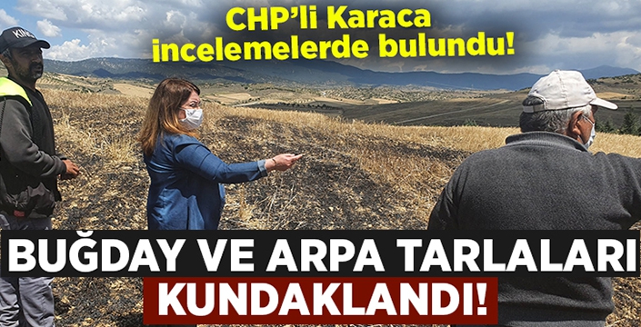 Denizli’de arpa ve buğday arazileri kundaklandı!