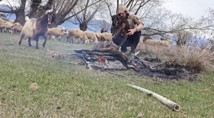 Doluya yakalanan sürüde ıslanan oğlağı ateş yakarak ısıttı
