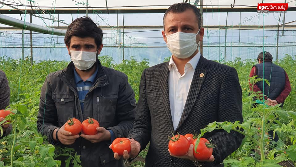 Domates ihracatında kotanın kaldırılması talebi