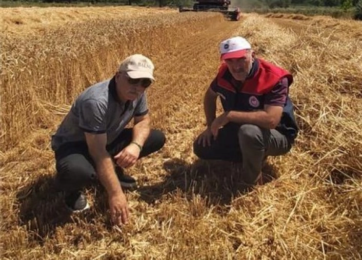 Düzcede verimli hasat için yerinde denetim
