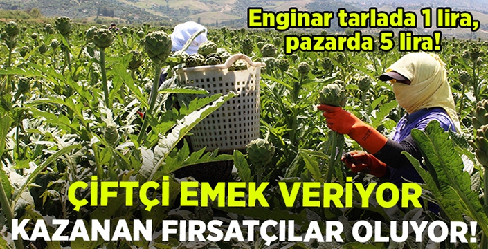 Enginar’da kazanan fırsatçılar oluyor! 