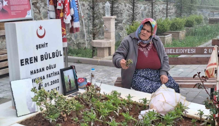 Eren Bülbülün annesi Ayşe Bülbül, PKKnın silah bırakmasını değerlendirdi: 