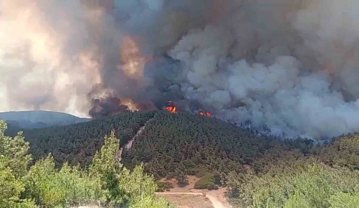 Foçada orman yangınına havadan 11 uçakla müdahale
