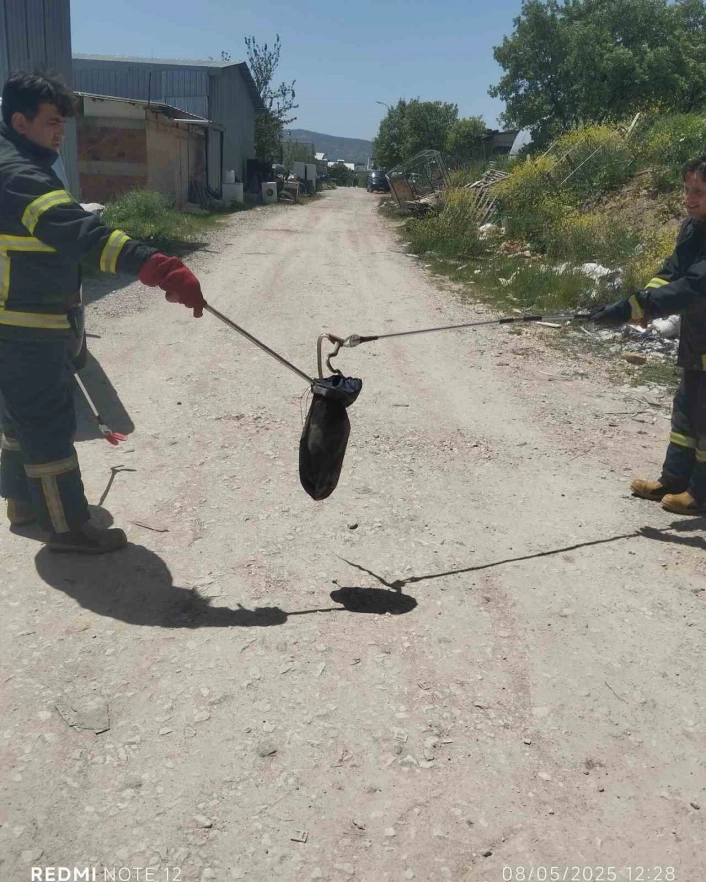 Gedizde baharın gelmesiyle yılanlar görülmeye başladı
