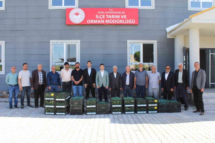 Gençte üreticilere sebze fidesi dağıtıldı
