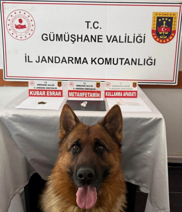 Gümüşhanede uyuşturucu operasyonu
