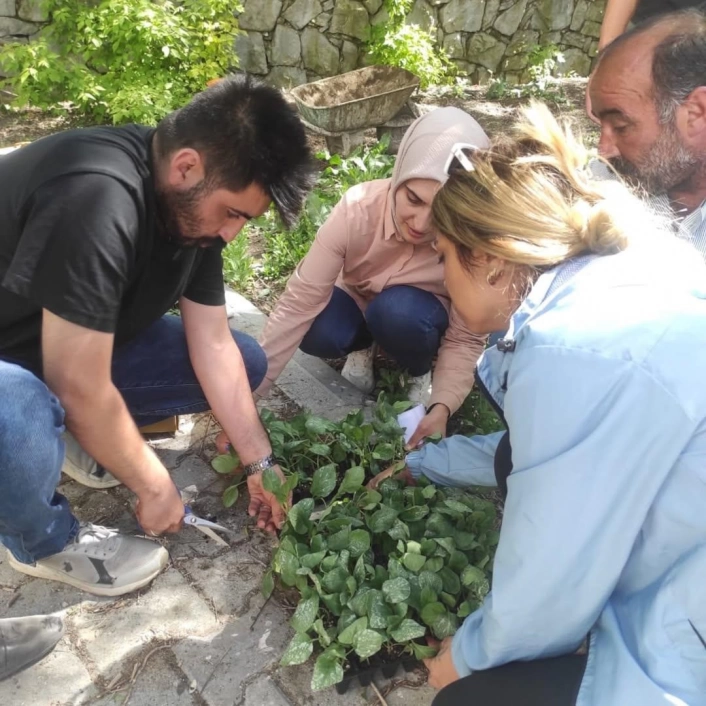 Hamurda sebze fideleri dağıtımı gerçekleştirildi
