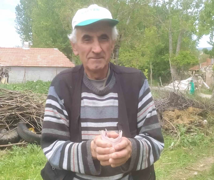 Hisarcıkta emekli işçiden 