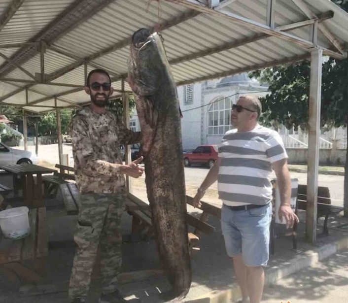İpsalada ağlara 80 kilo ağırlığında yayın balığı takıldı

