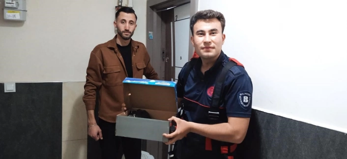 İtfaiye erleri kurtardıkları karga yavrularını elleriyle besledi
