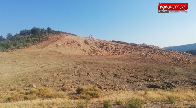 İzmir'de GES İçin Orman Katliamı Yapıldı