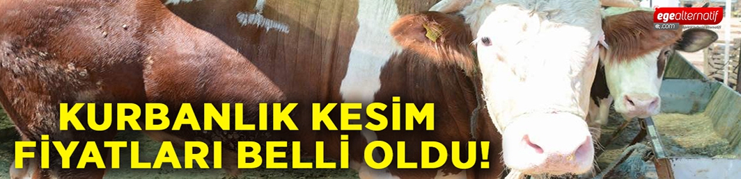 İzmir’de Kurbanlık kesim fiyatları belli oldu!