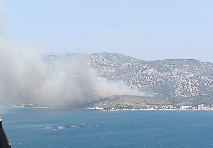 İzmirde çıkan orman yangınına havadan ve karadan müdahale başladı
