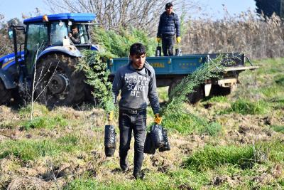 İZSU’dan Tahtalı Havzası’na 1 milyon 109 bin fidan