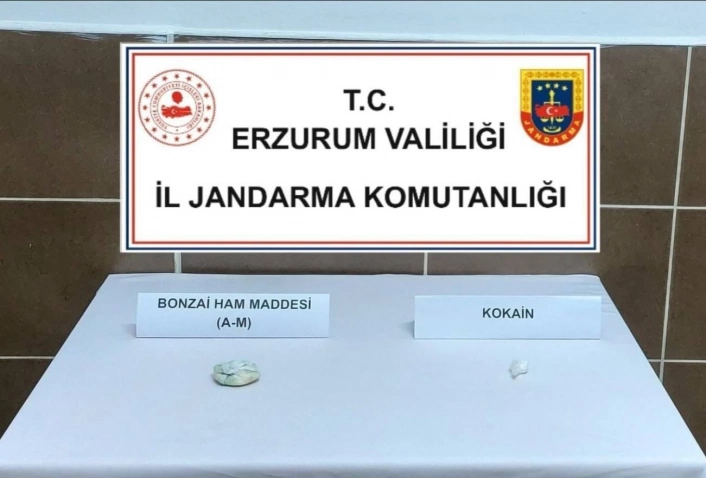 Jandarmadan uyuşturucu operasyonu
