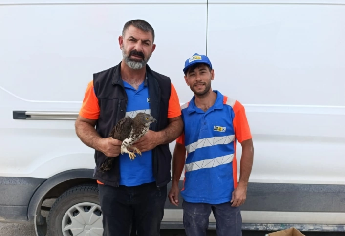 Karapınarda yaralı kızıl şahine şefkat eli
