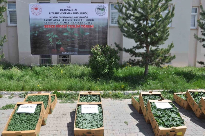 Karsta binlerce sebze fidesi dağıtıldı
