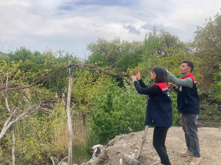 Karsta hasat öncesi pestisit kullanımı eğitimi
