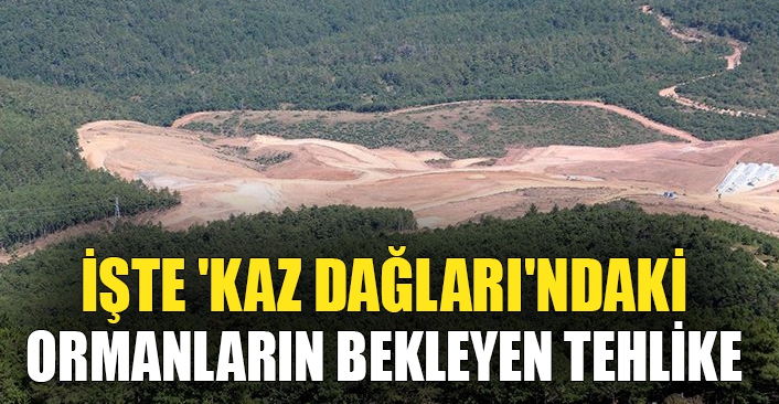 'Kaz Dağları'ndaki ormanların yüzde 80'i madenciliğe tahsis edildi'