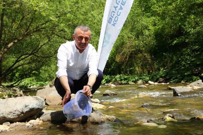 Kirazdereye 8 bin alabalık bırakıldı
