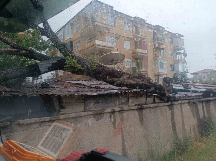 Kırıkkalede fırtına ağacı devirdi
