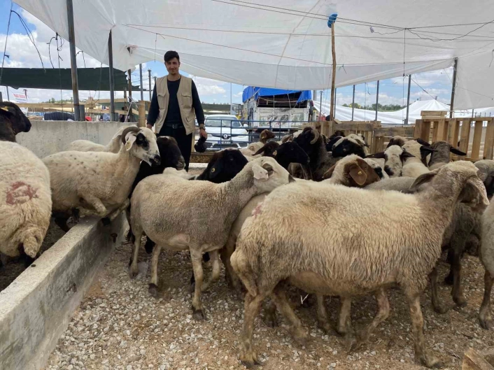Konyada kurban satıcıları yarını bekliyor
