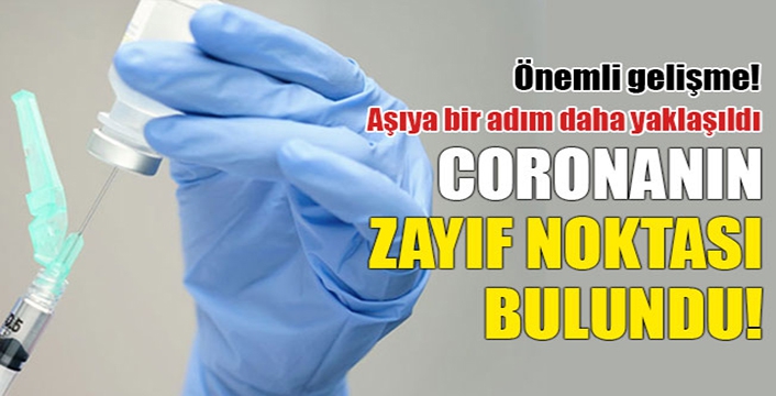 Koronavirüsün zayıf noktası bulundu! 