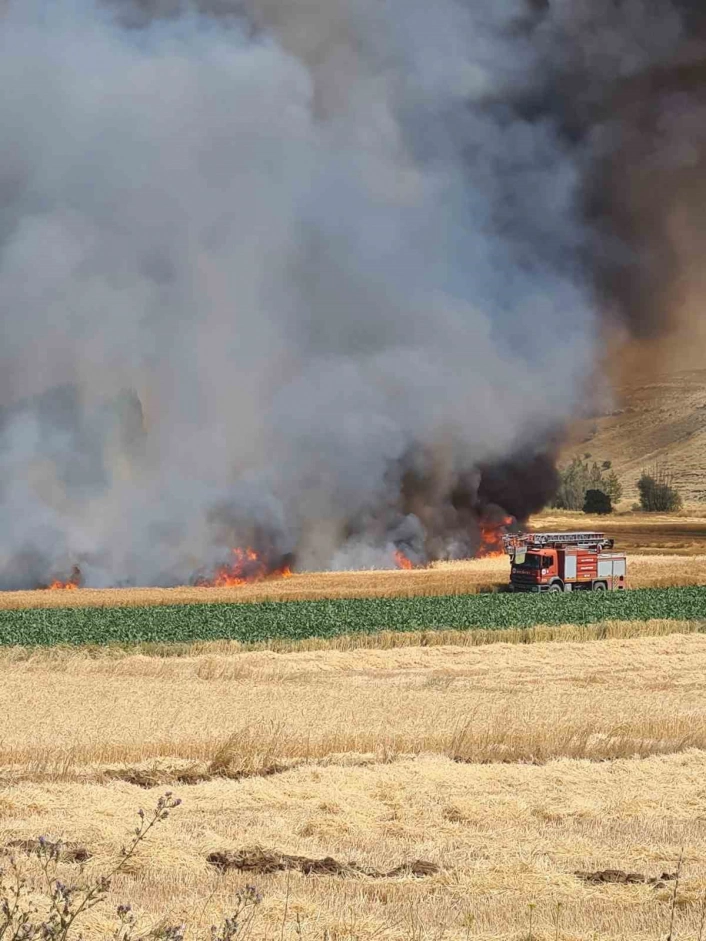 Kütahyadaki tarla yangınında yaklaşık 800 dekarlık hububat ekili alan kül oldu