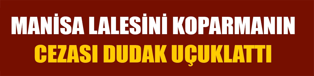 Manisa Lalesini koparmanın cezası dudak uçuklattı