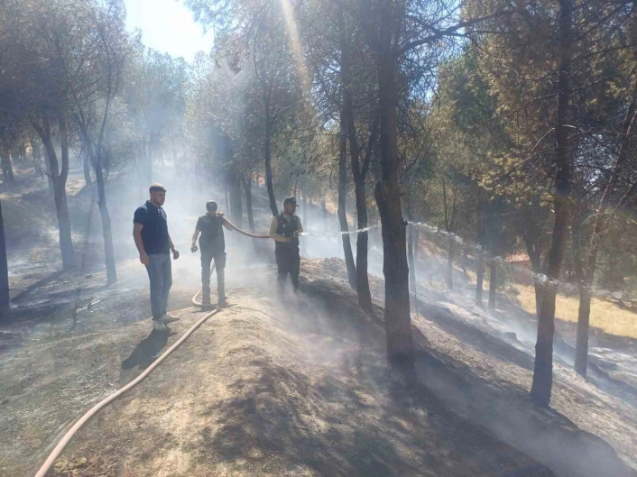 Manisadaki yangın hızlı müdahale ile söndürüldü
