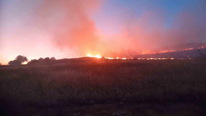 Mardinde dağlık alanda çıkan yangın söndürüldü
