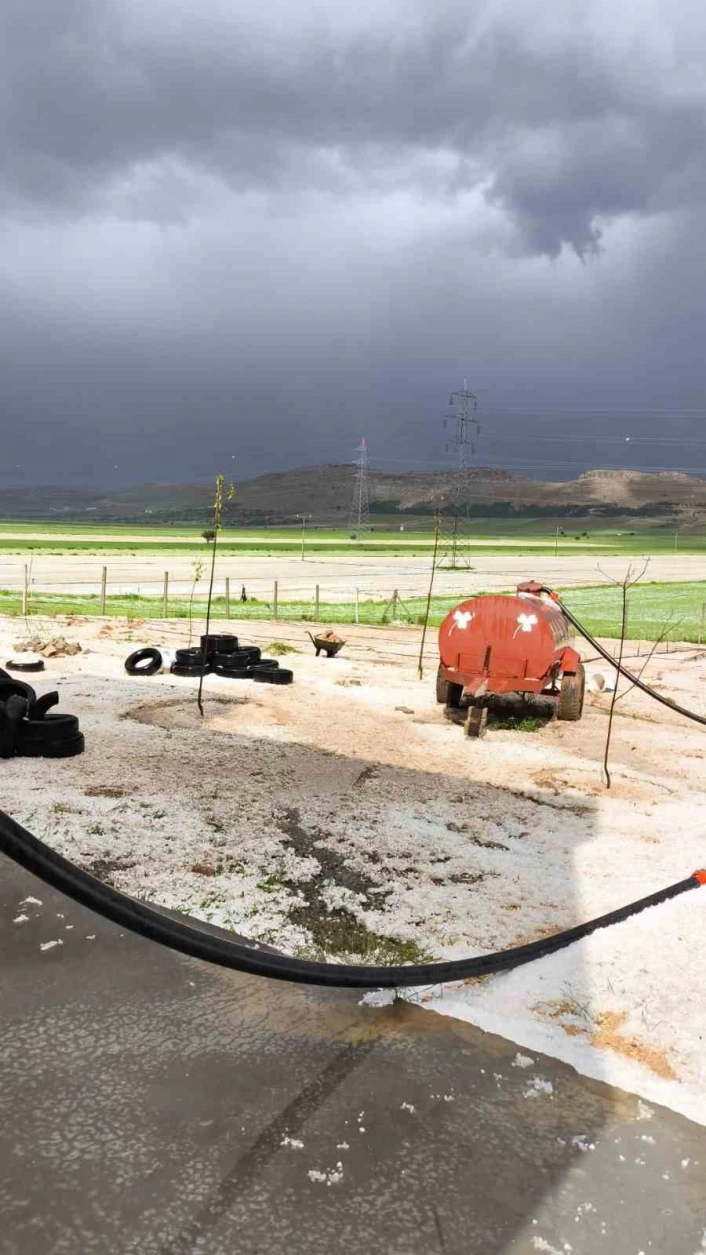 Mazıdağında dolu yağışı hayatı olumsuz etkiledi
