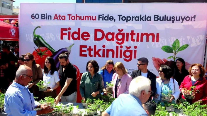 Menteşe Belediyesi'nden Ata Tohumu Şenliği: 60 Bin Fide Ücretsiz Dağıtıldı