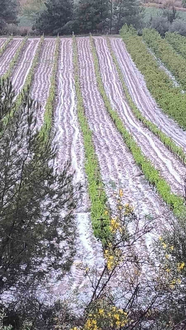 Mersinde dolu tarım ürünlerine zarar verdi
