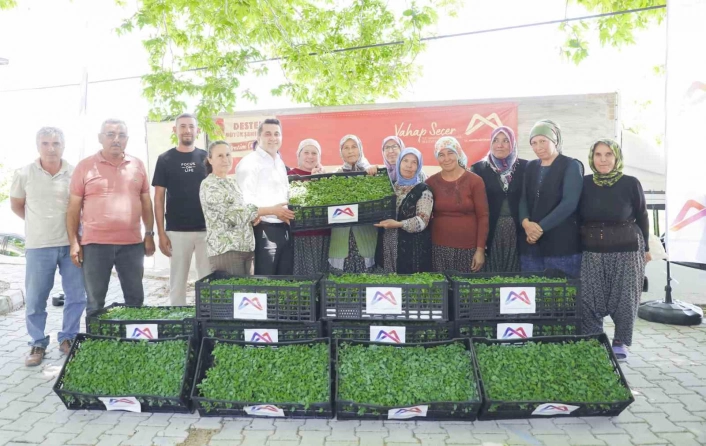 Mersinde tarım destekleri üreticiyi sevindiriyor
