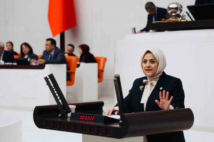 Milletvekili Ün; 