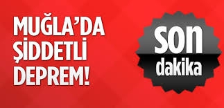 Muğla'da 3,9 şiddetinde deprem! Gece boyunca sürdü!