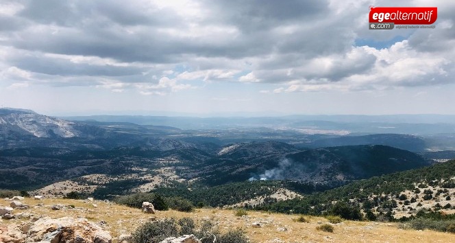 Muğla'da orman yangını