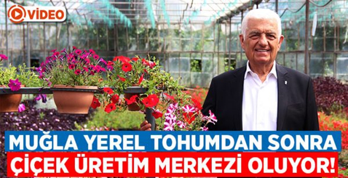 Muğla yerel tohumdan sonra çiçek üretim merkezi oluyor!