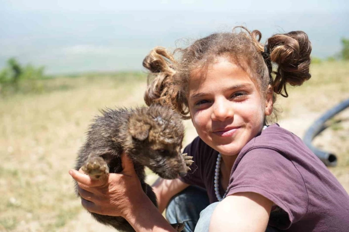 Muşta çoban kardeşler yaylada ölmek üzere olan kurt yavrularını kurtardı
