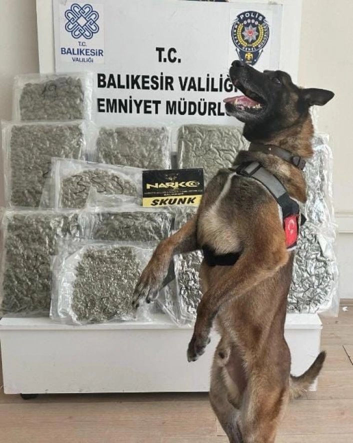 Narkotik köpeği Yaşa sayesinde 10 kilo esrar yakalandı
