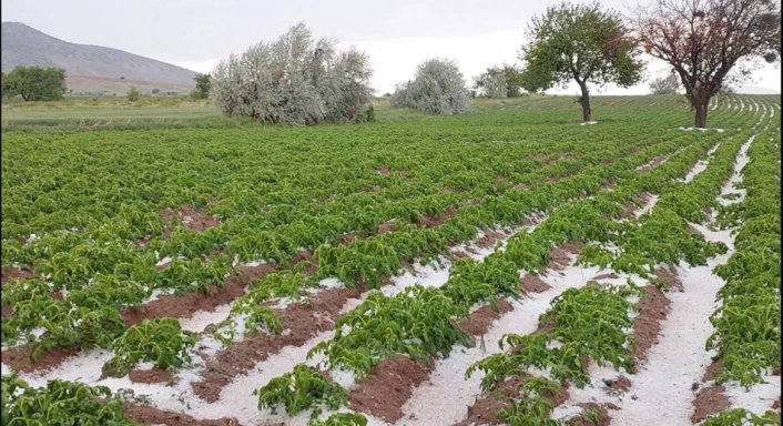 Nevşehirde sel ve dolu tarım arazilerini vurdu
