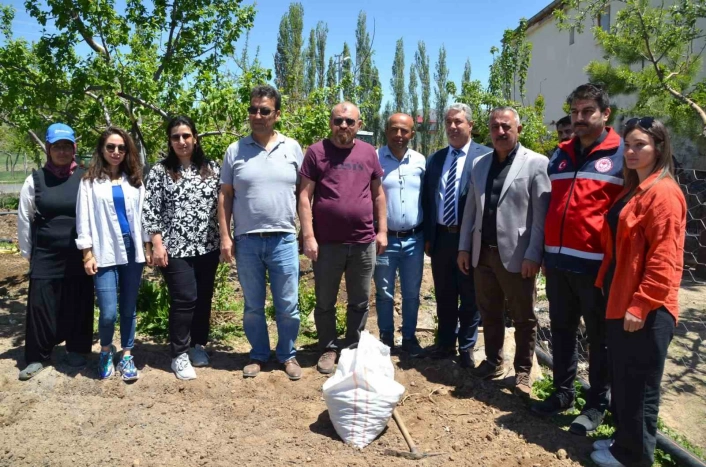 Niğdede üreticilere 33 bin adet salep yumrusu dağıtıldı

