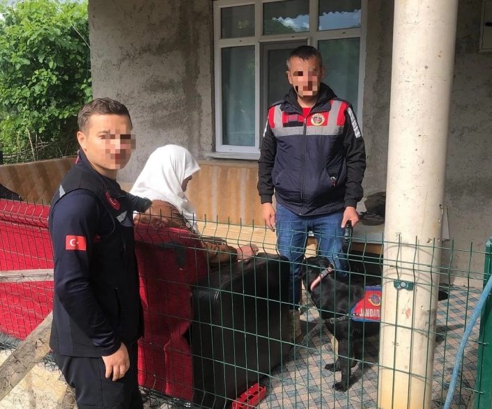 Orduda kayıp ihbarı olan kadın sağ olarak bulundu
